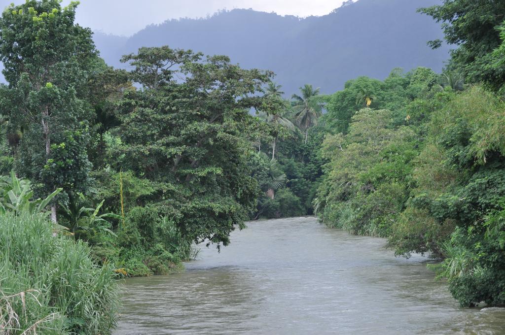 River Edge Bungalow Matale Exteriör bild